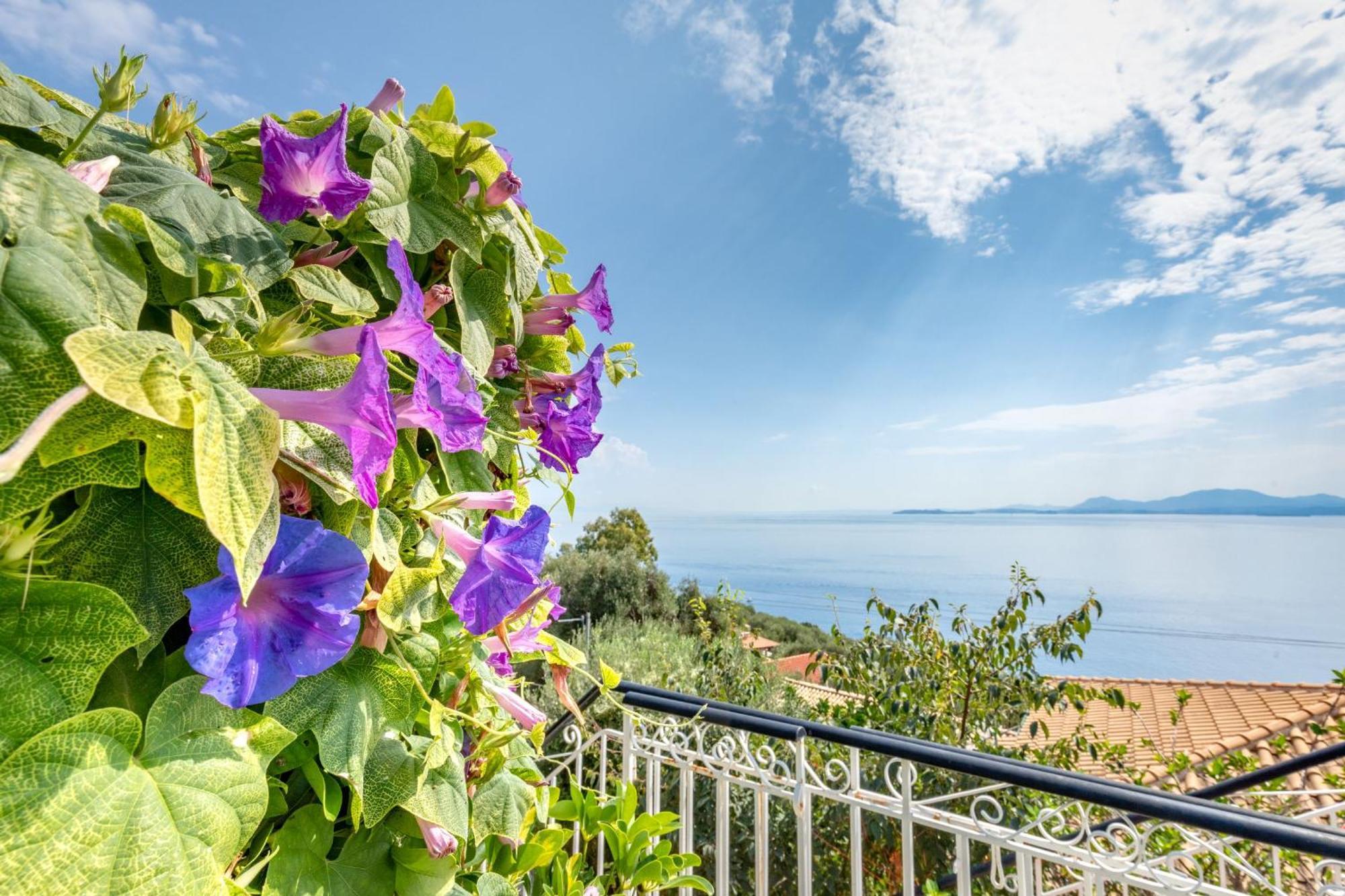 Villa Nafsika Nisaki (Corfu) Exterior foto