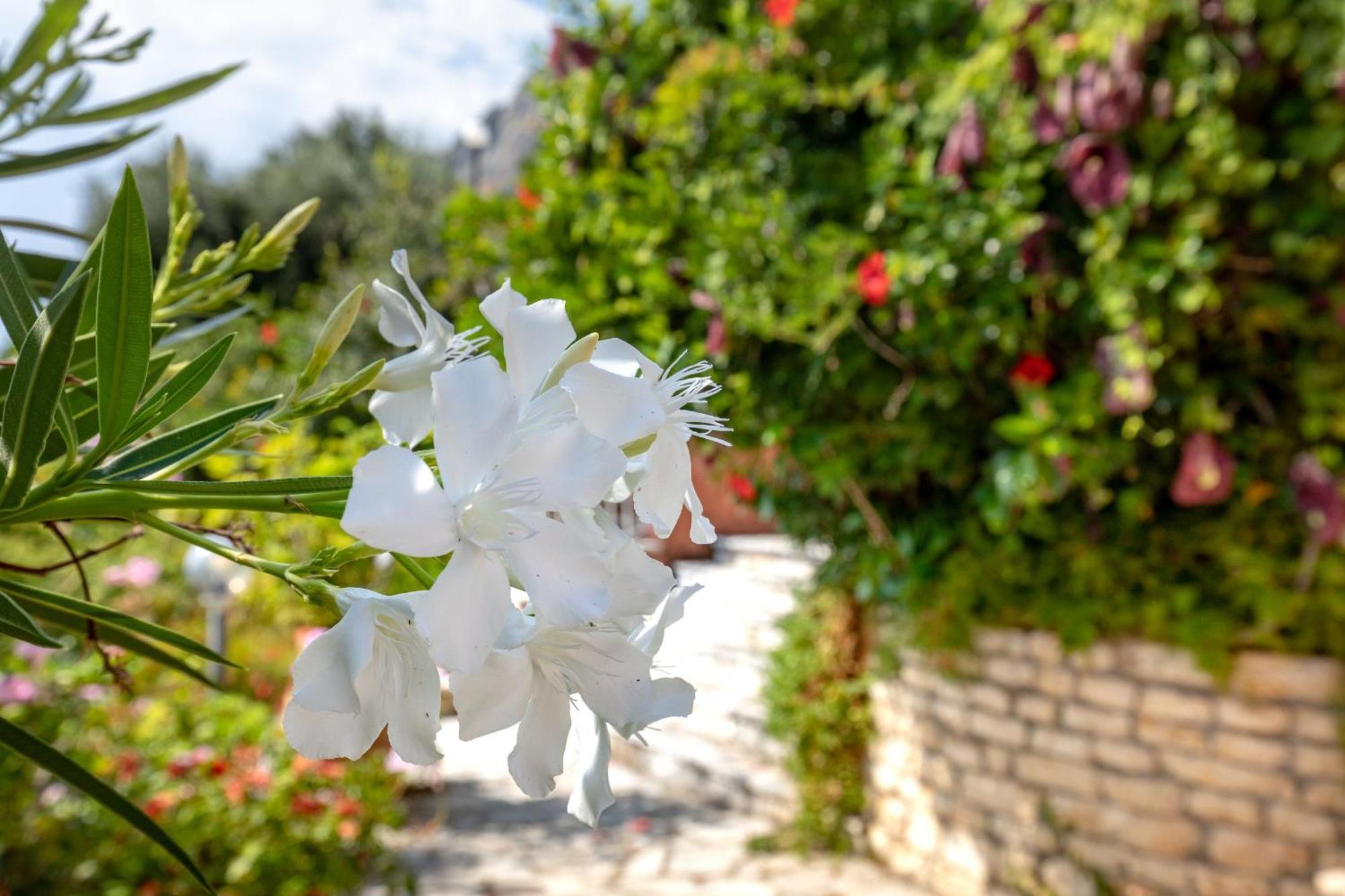 Villa Nafsika Nisaki (Corfu) Exterior foto